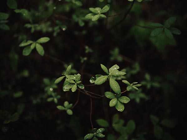 Quam Nulla Porttitor Massa Dneque Aliquam Vestibulum 1 ben karpinski uR pNOruRPk unsplash Quam Nulla Porttitor Massa Dneque Aliquam Vestibulum